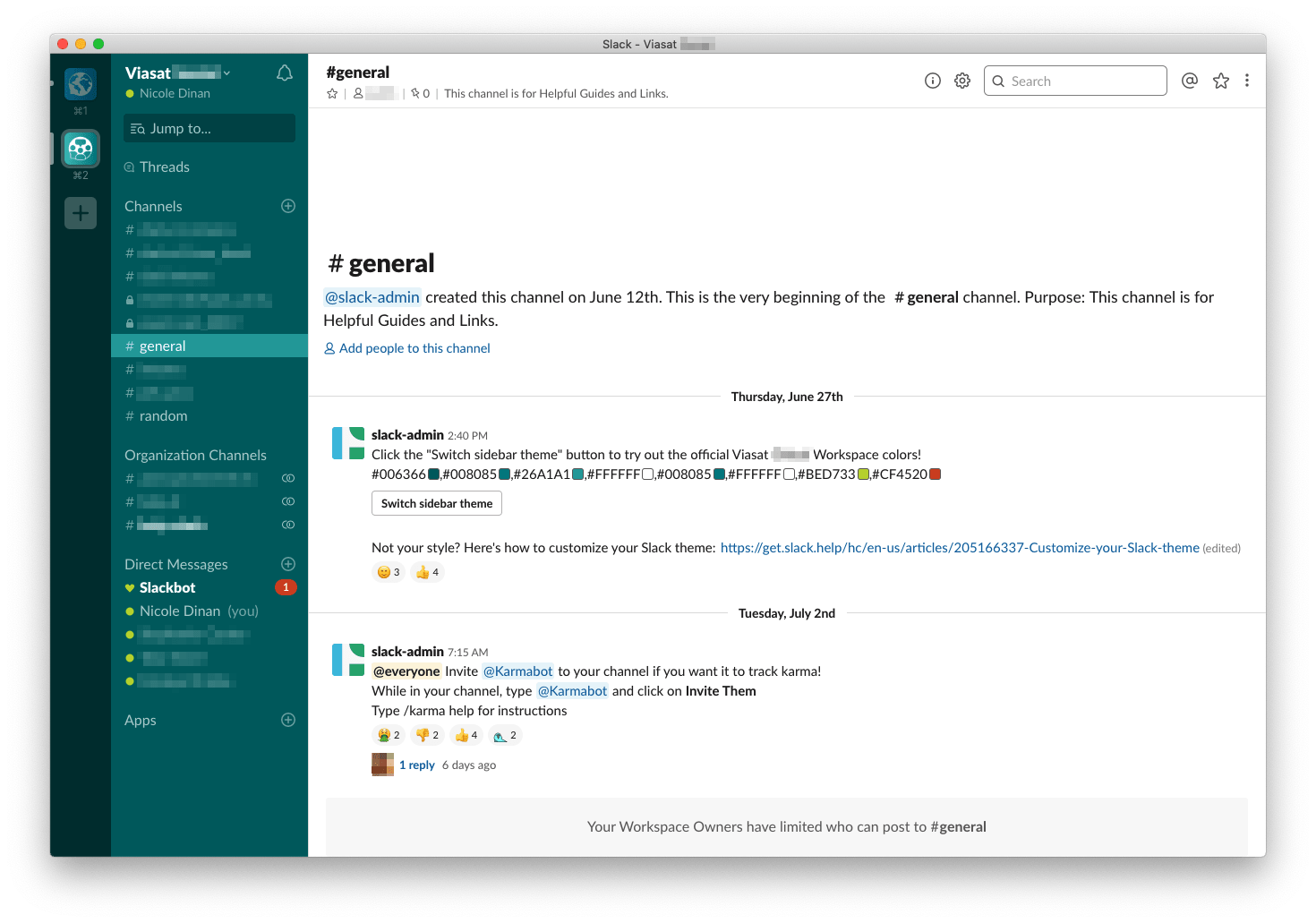 Screenshot of Viasat's social Slack showing sidebar customizations